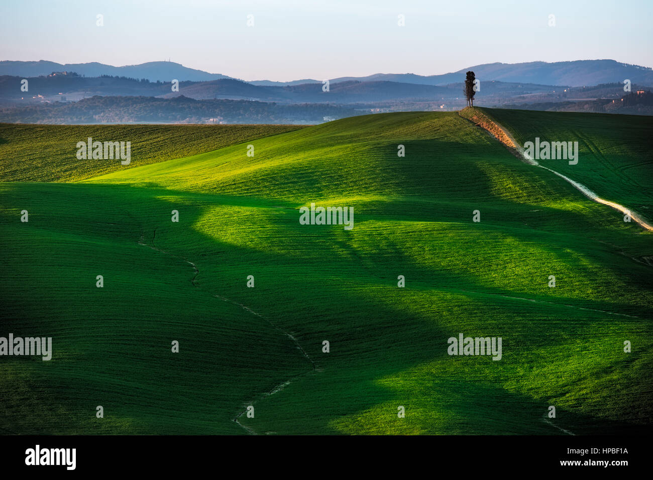 Campagna Toscana colline del paesaggio collinare, cipresso e campi verdi sul tramonto. Siena, Crete Senesi. L'Italia, l'Europa. Foto Stock