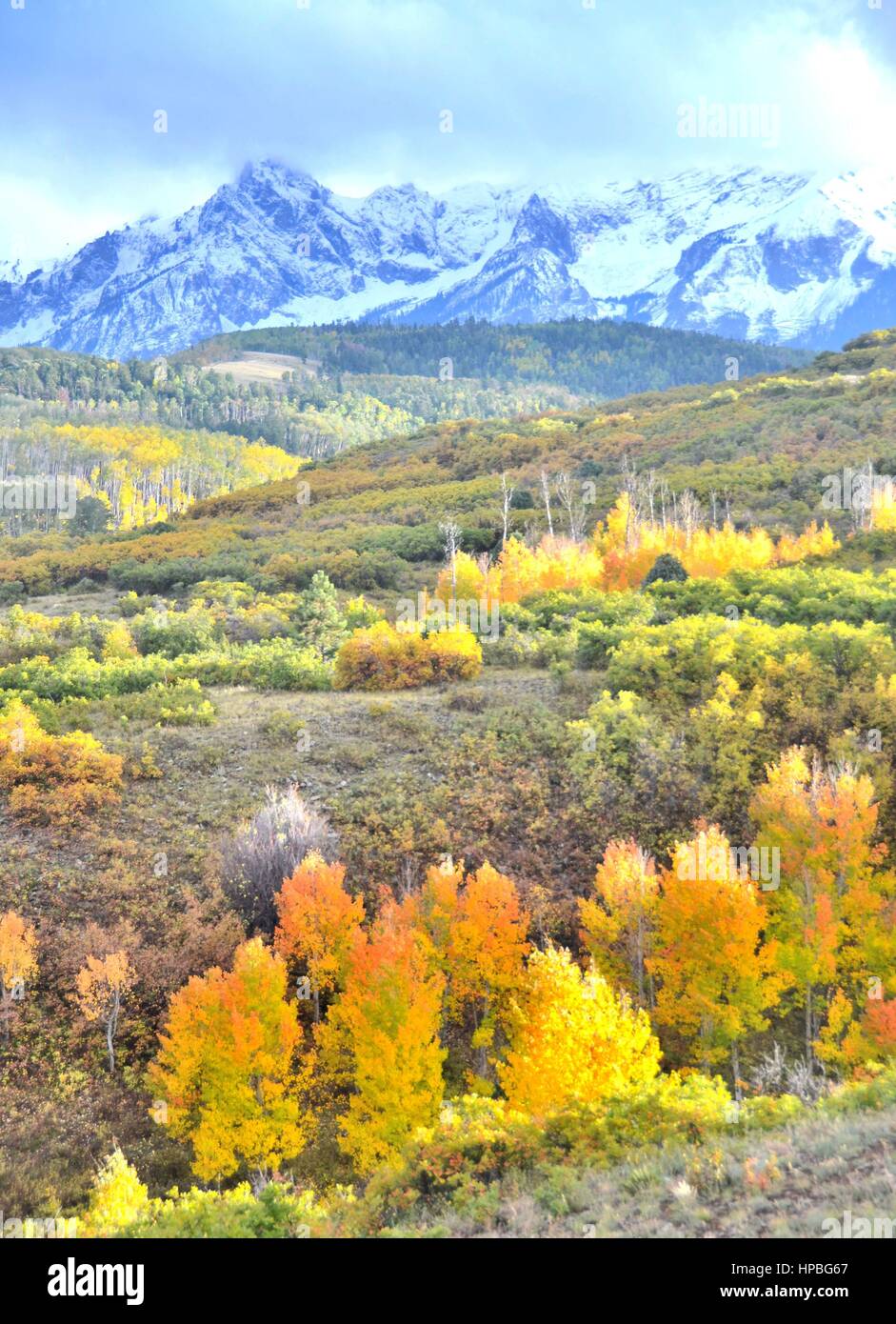 Foglie di autunno in montagna Foto Stock