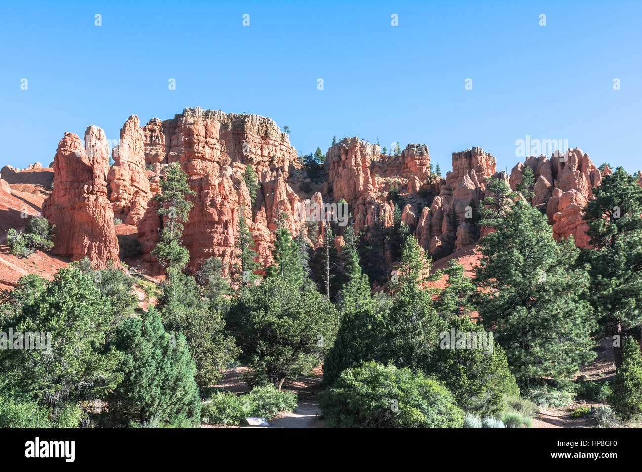 Rocce Rosse e le foreste in Red Canyon dello Utah Foto Stock