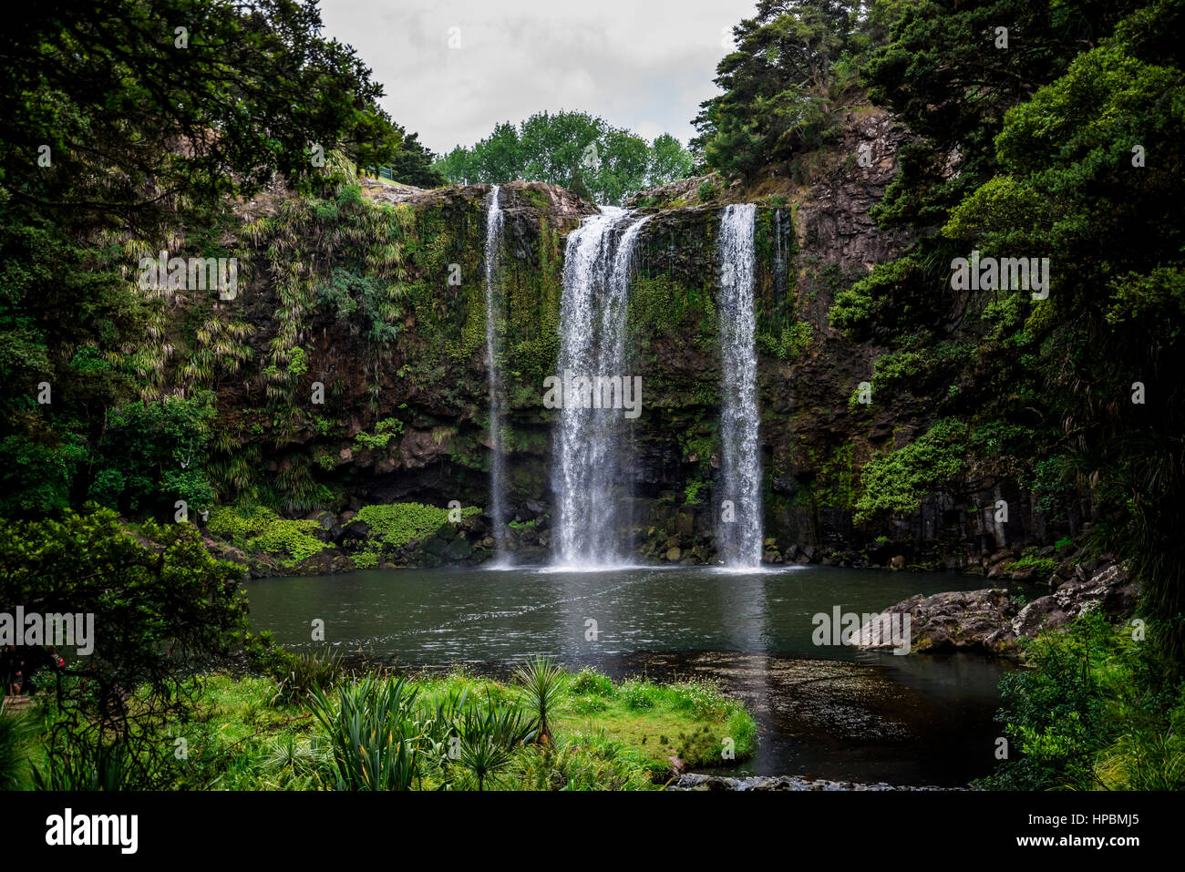 Una vista panoramica di Whangarei cascata e laghetto sotto, Nuova Zelanda, Isola del nord Foto Stock