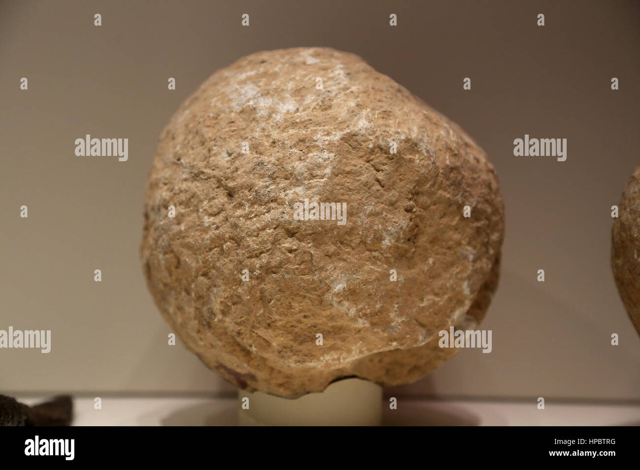 Assedio romano motori: proiettili. Le sfere di pietra. Calcare. 2a-1st secolo A.C. Cabezo de Alcala (Azaila, Teruel). Foto Stock
