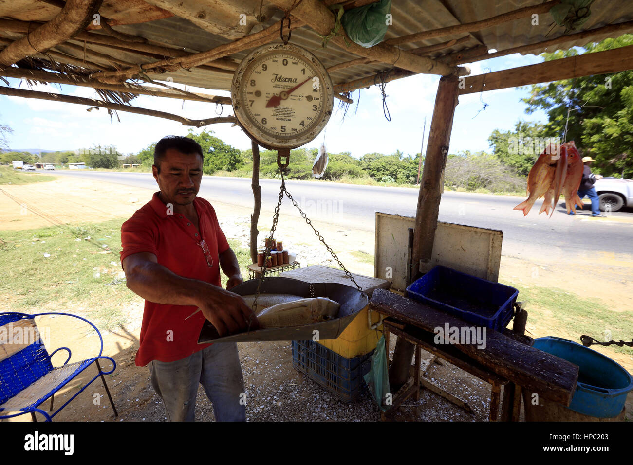 Carretera a Santa Ana de Coro, Falcon, Venezuela. Xvii Feb, 2017. Nazioni Unite hombre, Vendôme pescados affreschi al borde de la carretera que condurre desde Chichiriviche a la ciudad de Santa Ana de Coro. Foto: Juan Carlos Hernandez.------------------------------------------.Un uomo vende pesce fresco al bordo della strada che conduce da Chichiriviche alla città di Santa Ana de Coro. Foto: Juan Carlos Hernandez. Credito: Juan Carlos Hernandez/ZUMA filo/Alamy Live News Foto Stock