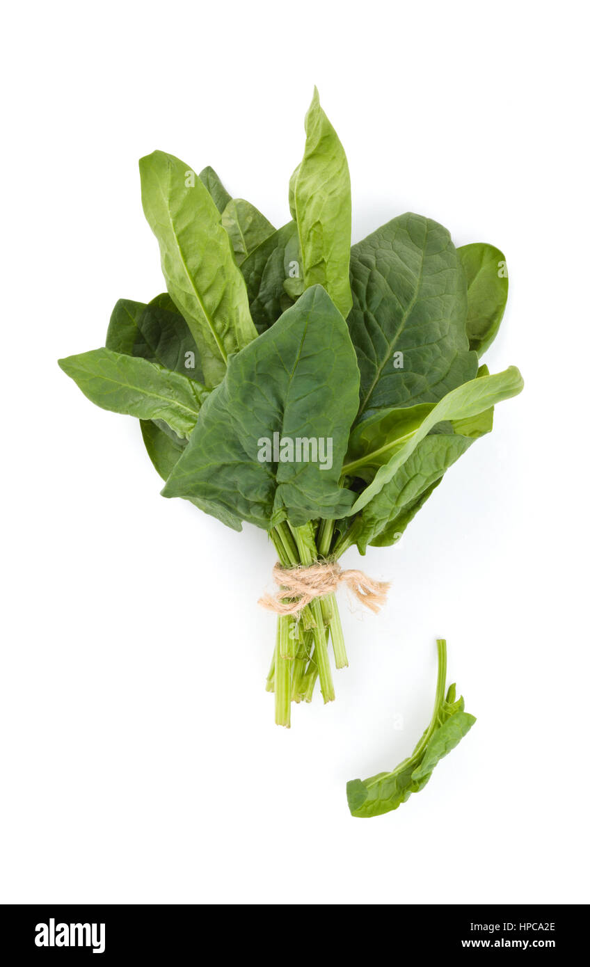 Banco di spinaci freschi foglie. Isolato su sfondo bianco. Foto Stock