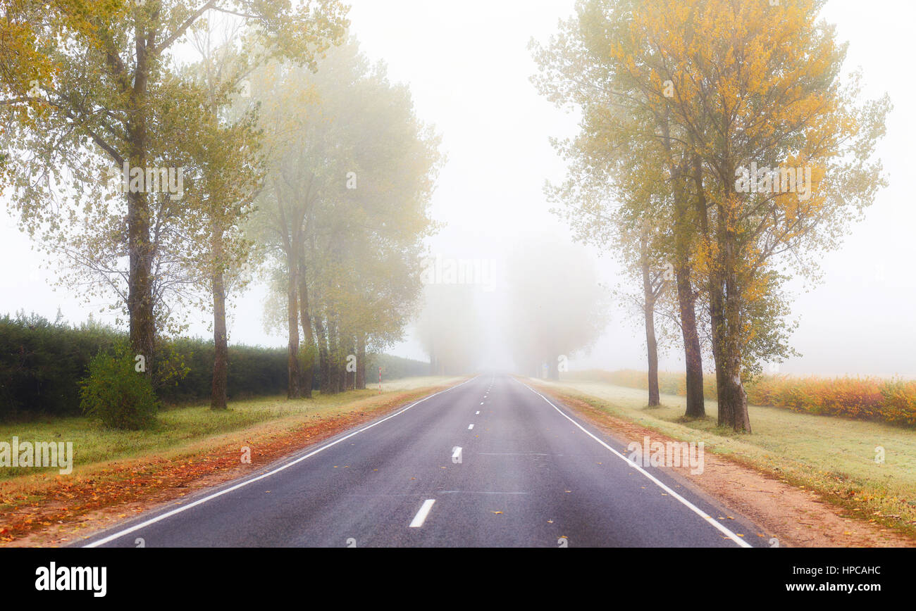 La nebbia sopra la strada nella mattina di autunno Foto Stock