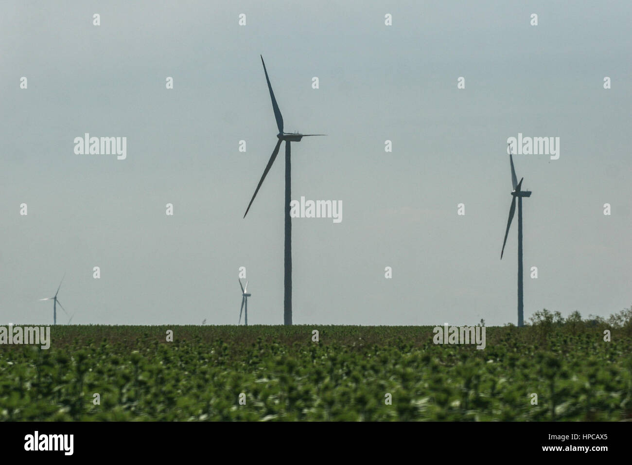 La Bulgaria, 27 Giugno 2009: wind farm su campi. Foto Stock