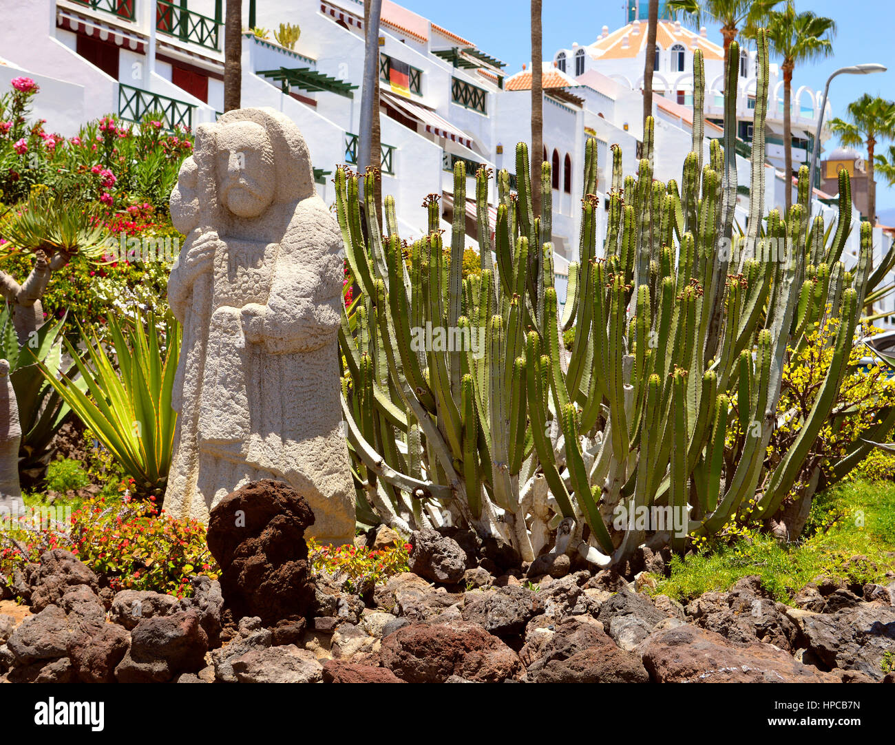 Il giardino dei Cactus in Playa de las Americas Tenerife Foto Stock