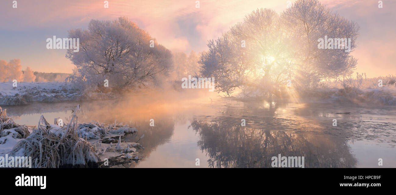 Soleggiato paesaggio invernale. Luminoso winter sunrise. Panorama con la luce del sole e raggi di sole. La nebbia di mattina di inverno Foto Stock