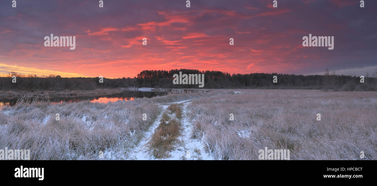 Rosso brillante sopra le nuvole campo nevoso. Paesaggio autunnale. Vista panoramica. Foto Stock