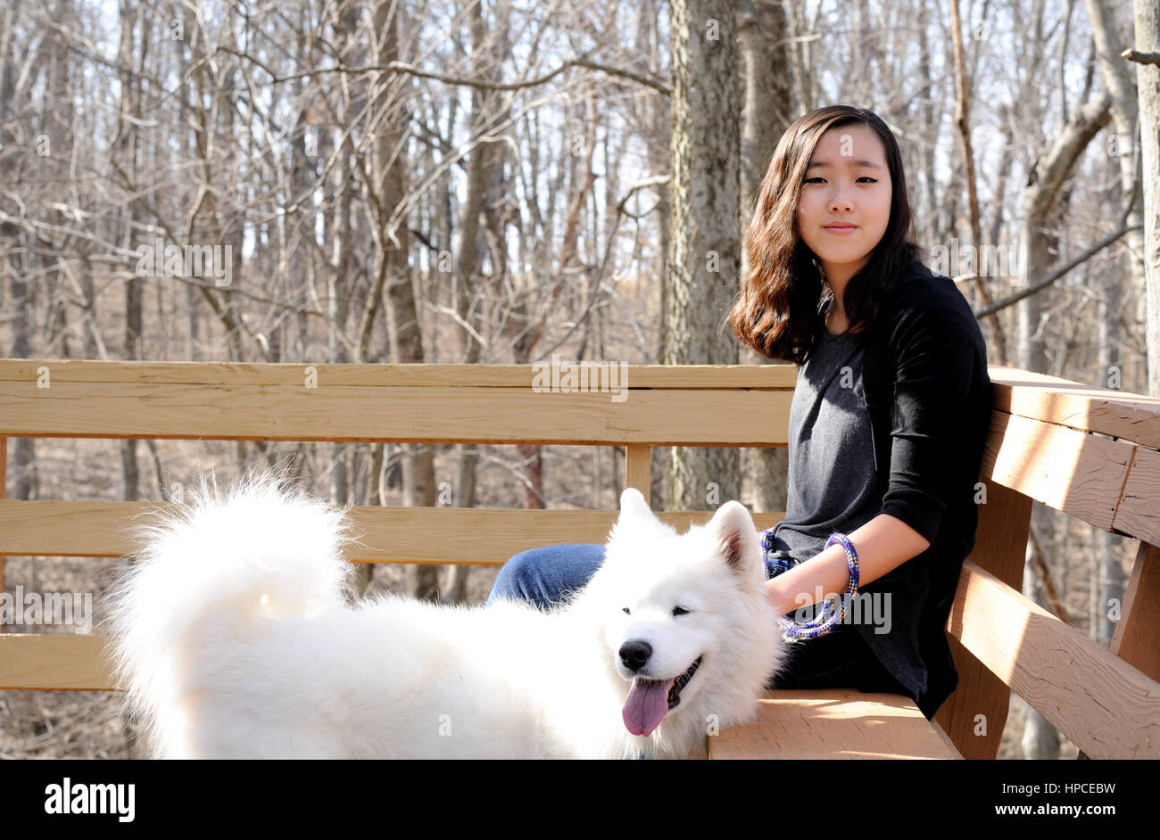 Asian ragazza adolescente al di fuori di una razza di cane Samoiedo Foto Stock