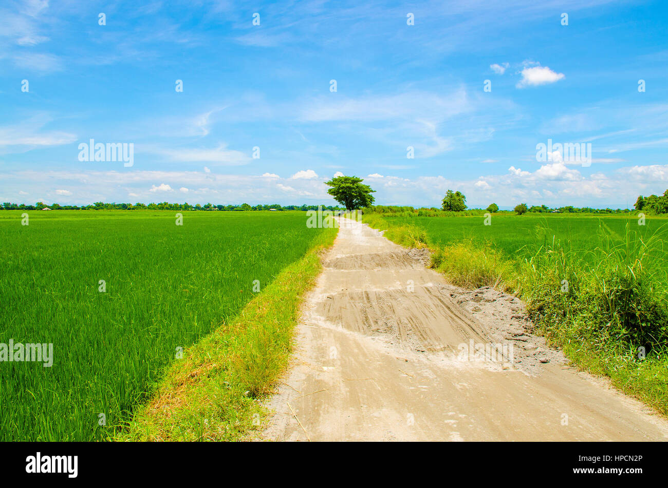 Area rurale nella campagna dell'isola di Luzon nelle Filippine Foto Stock