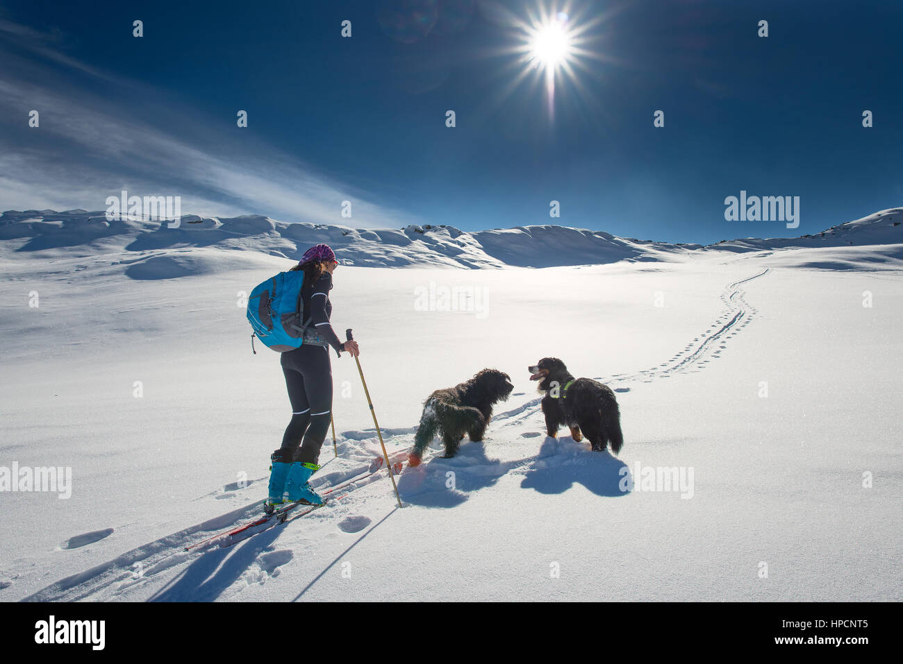 Ragazza solitaria in montagna con sci alpinismo e due cani sulle Alpi Foto Stock