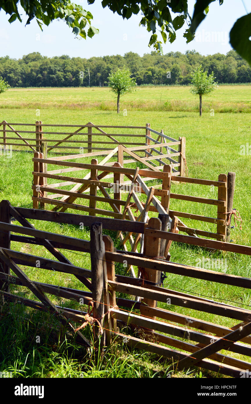 Un groviglio di recinti di legno in un pascolo vicino ad una fattoria. Foto Stock