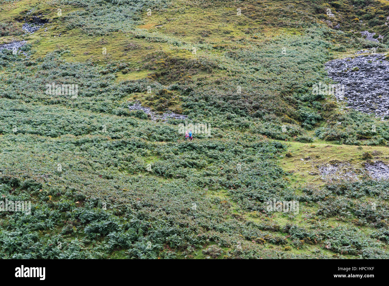 Gli escursionisti su un percorso in salita a Pistyll Rhaeadr Foto Stock
