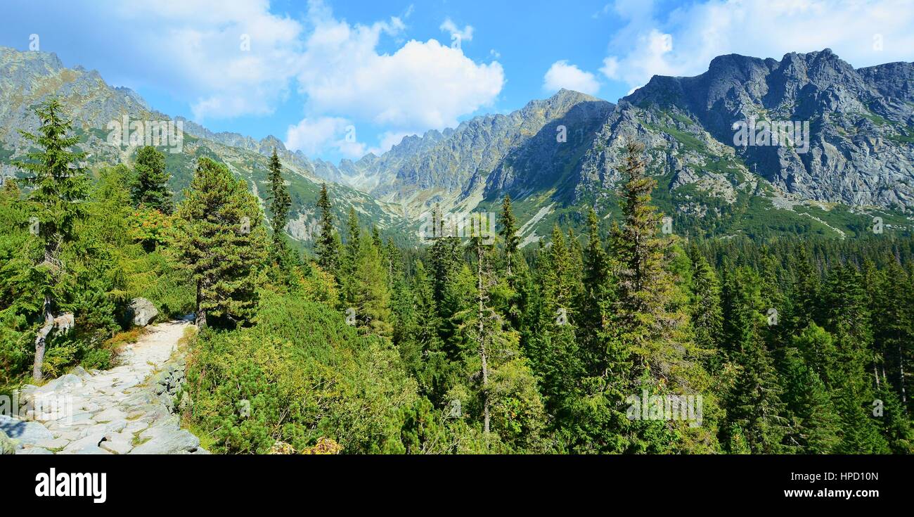 Panorama dei Monti Tatra Mountains con pietra turistico percorso. Foto Stock