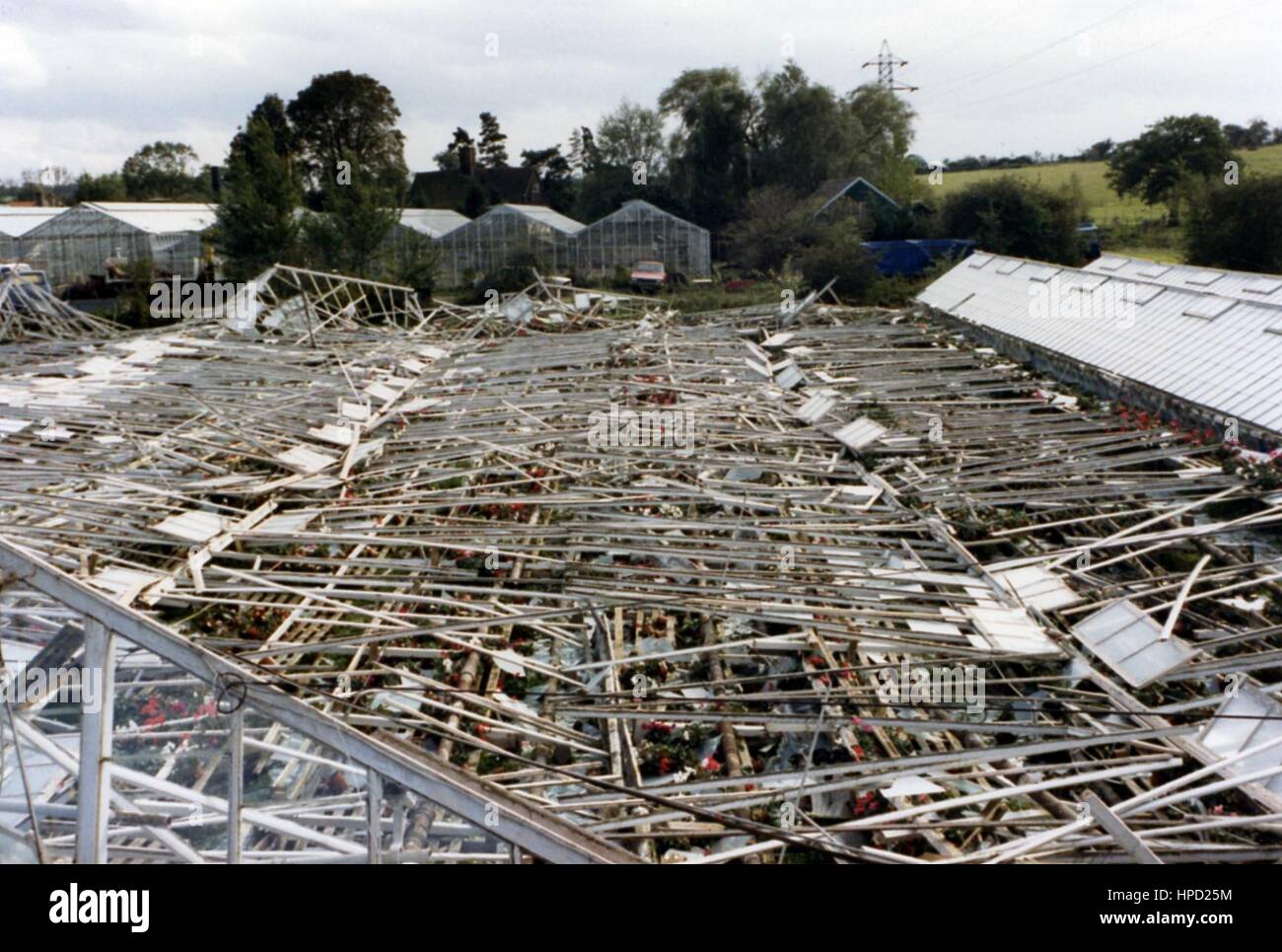 Vivaio Koerts distrutto durante la grande tempesta di 87 Foto Stock