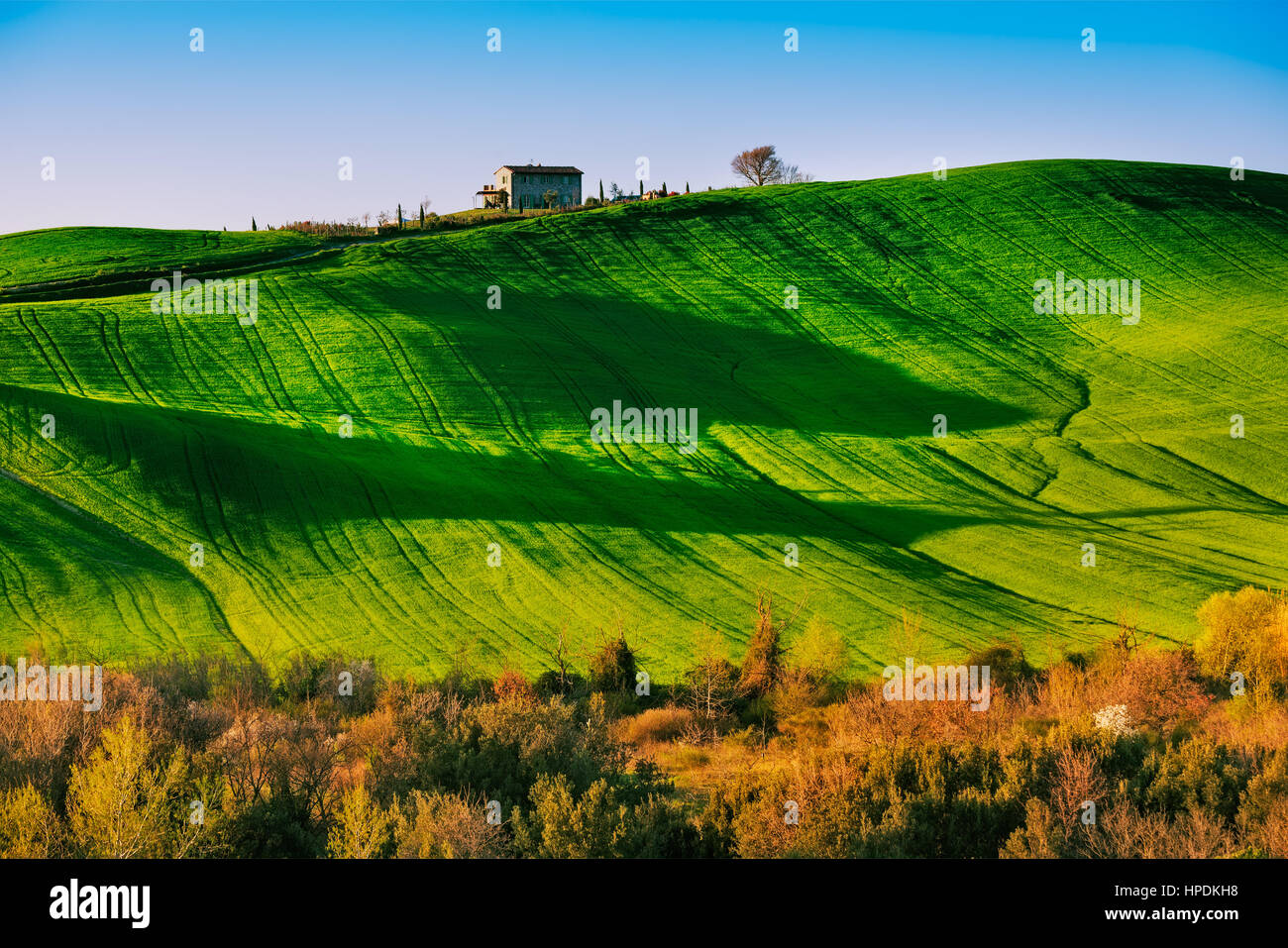 Toscana, colline sul tramonto. Volterra paesaggio rurale. Campi verdi, terreni coltivati e alberi. Italia Foto Stock
