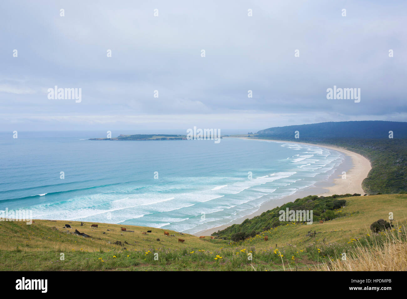 Papatowai, Catlins Area di Conservazione, Otago, Nuova Zelanda. Vista sulla baia di Tautuku da Firenze Hill Lookout. Foto Stock