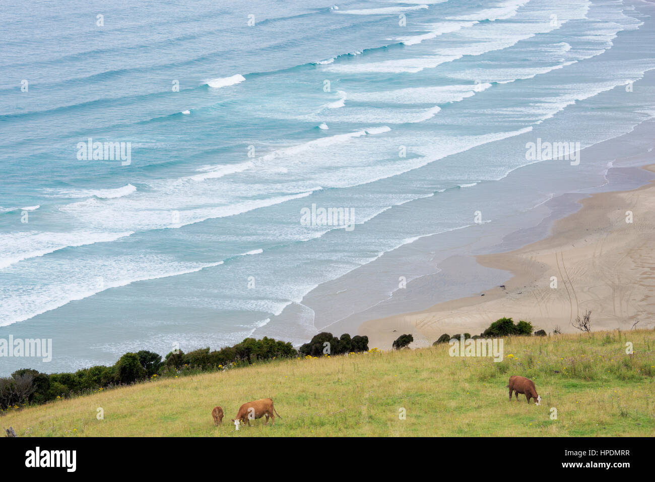 Papatowai, Catlins Area di Conservazione, Otago, Nuova Zelanda. Vista sulla baia di Tautuku da Firenze Hill Lookout. Foto Stock