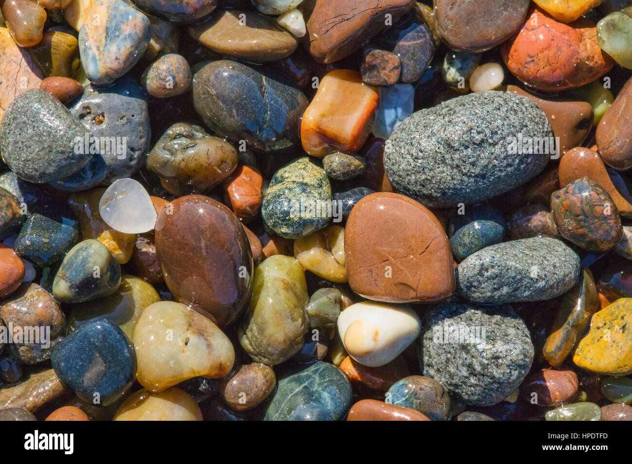 Molte rocce colorate a Pietra di Luna Beach in Cambria, California, fuori della Pacific Coast Highway (SR 1). Foto Stock