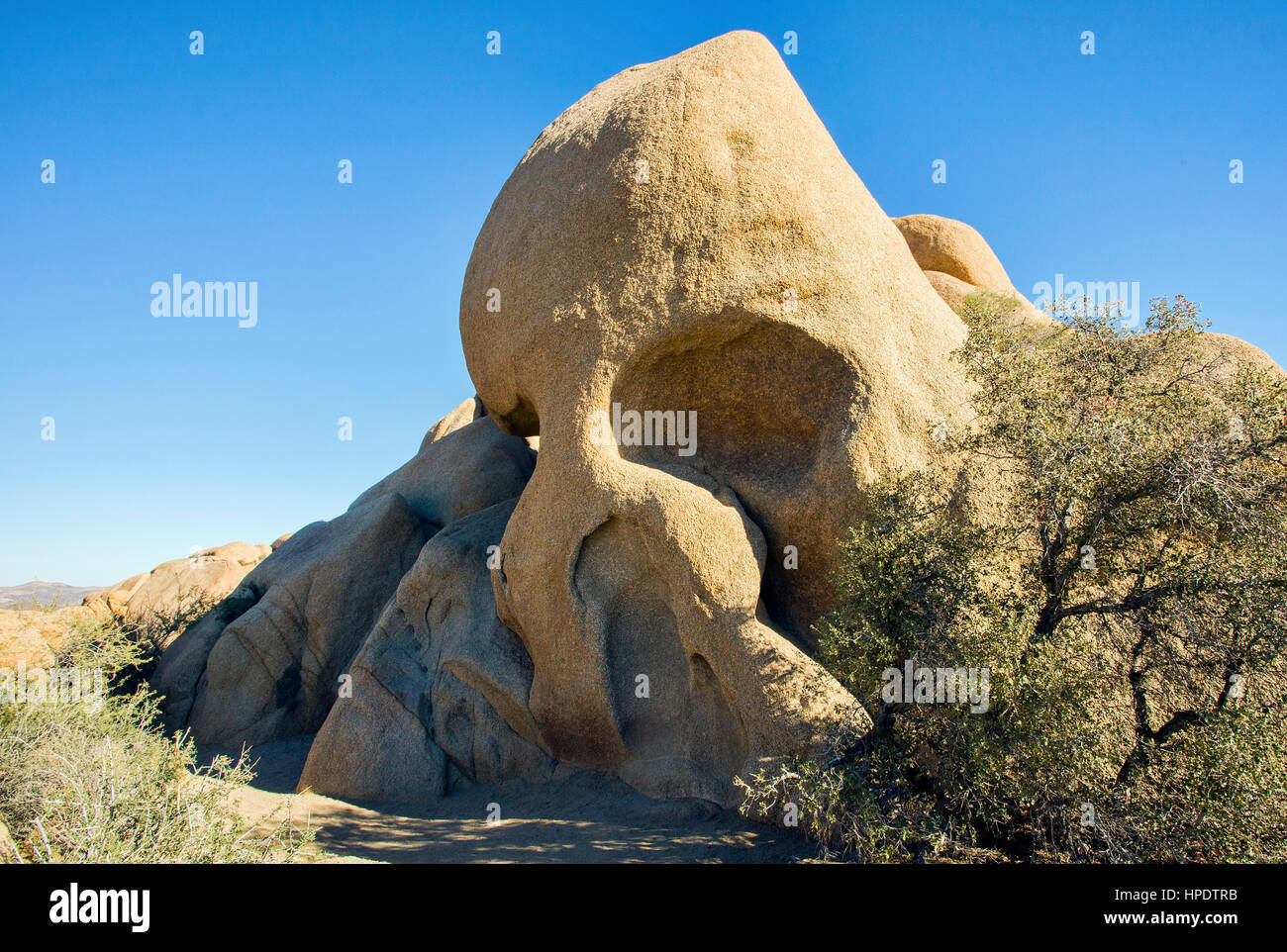 Cranio Rock a Joshua Tree National Park in California. Foto Stock