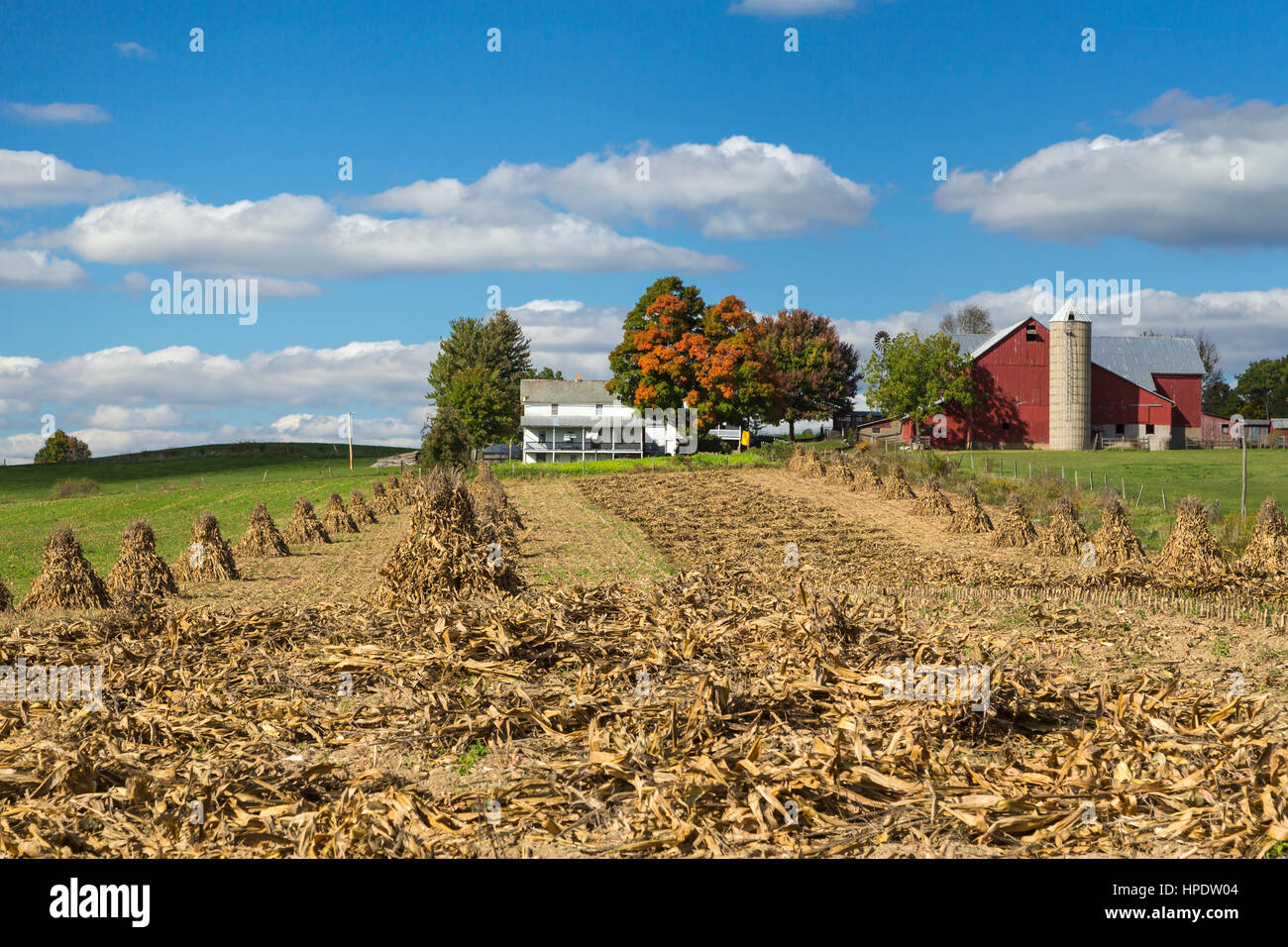 Una fattoria Amish con shock di mais nel campo vicino Kidron, Ohio, Stati Uniti d'America. Foto Stock