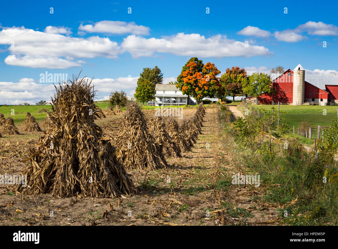 Una fattoria Amish con shock di mais nel campo vicino Kidron, Ohio, Stati Uniti d'America. Foto Stock