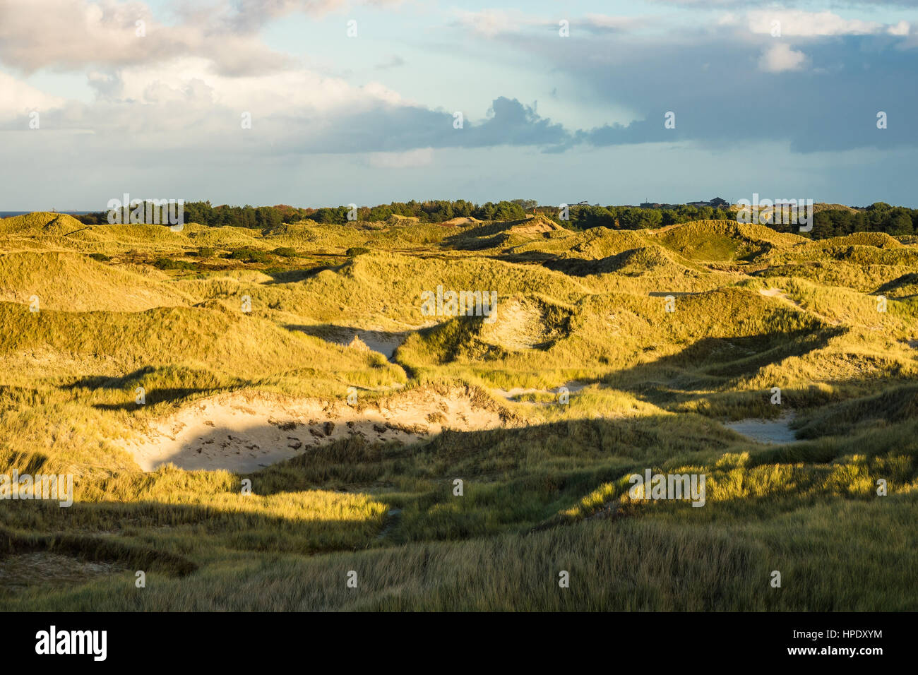 Dune sulla costa del Mare del Nord dell'isola Amrum, Germania. Foto Stock