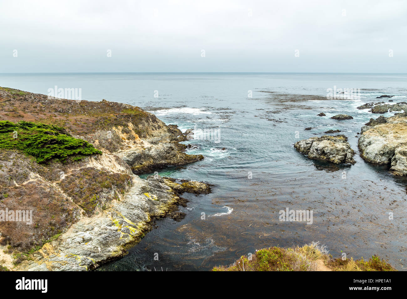 Il Pacific Coast Highway (Stato percorso 1) è una grande nord-sud statale che corre lungo la maggior parte della costa del Pacifico degli Stati Uniti stato di Cali Foto Stock