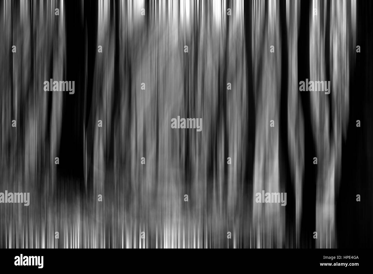 Abstract motion blur di alberi in una foresta creepy Foto Stock