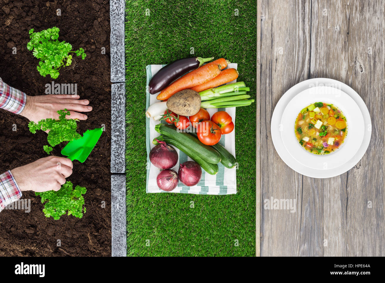 Il cibo dalla fattoria alla tavola: agricoltore di piantare le piantine in giardino, ortaggi raccolti e gustosa minestra in un piatto Foto Stock