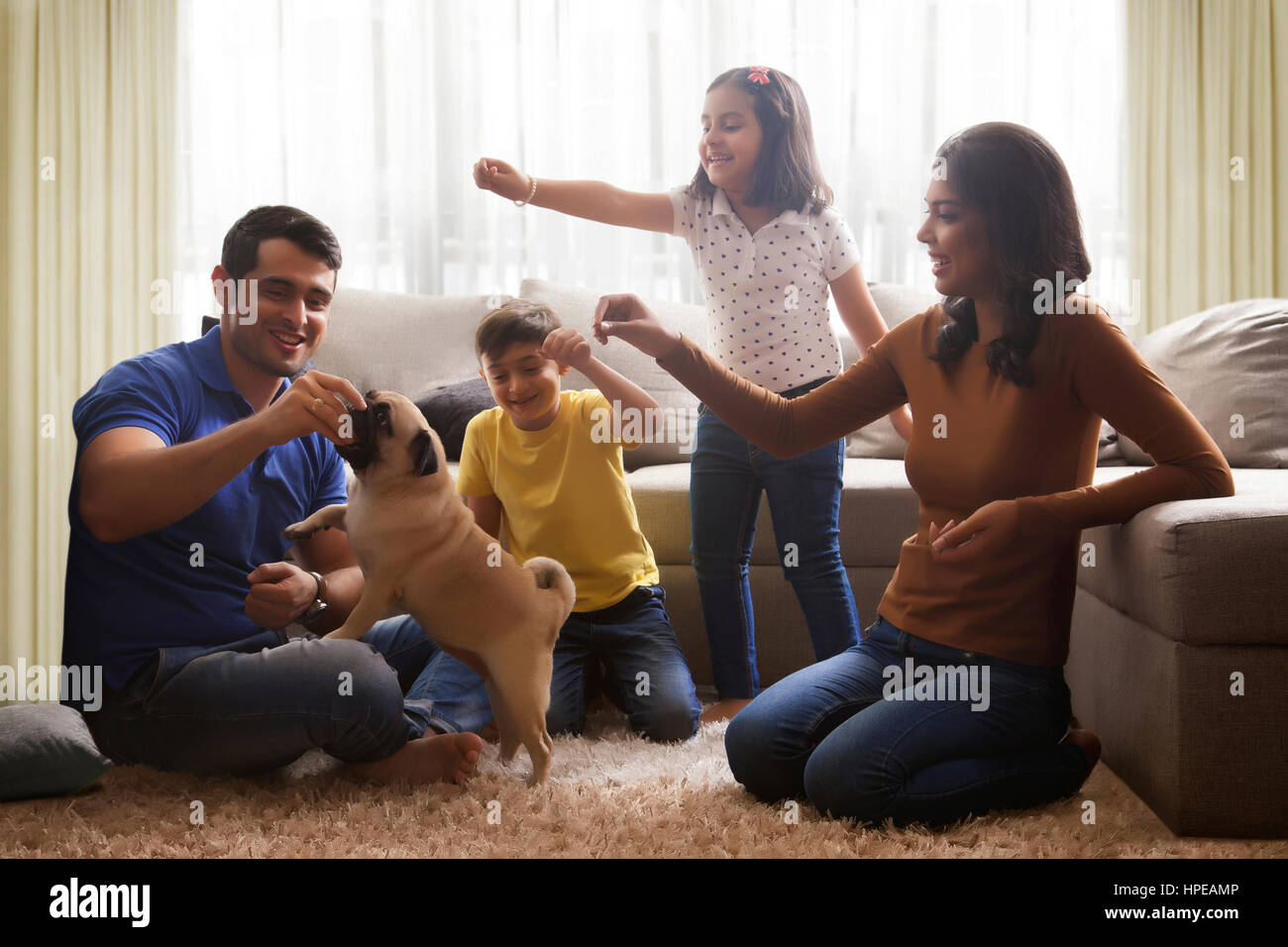 I giovani genitori e bambini che giocano con il pug sul tappeto Foto Stock