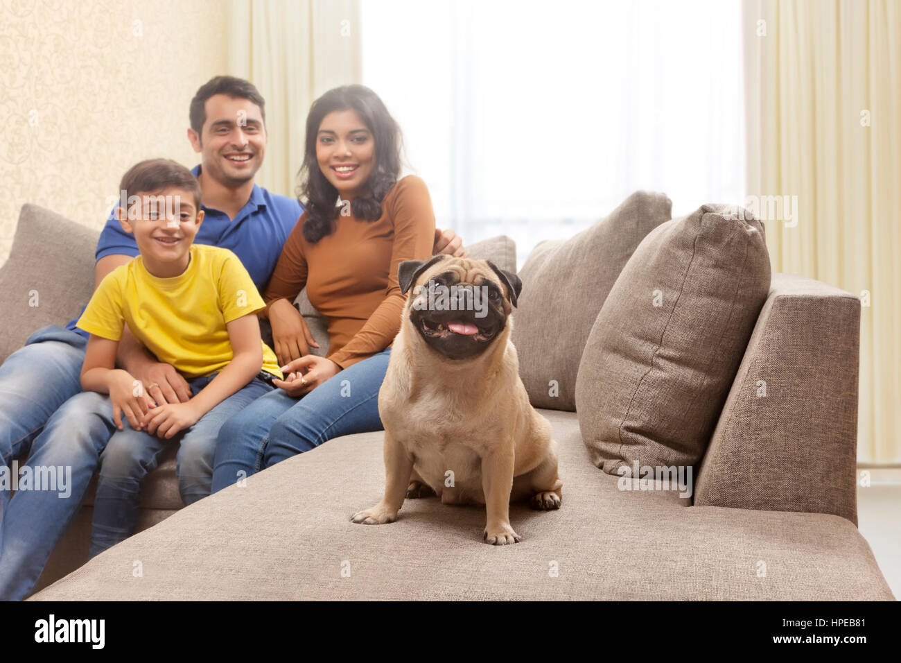 Ritratto di sorridere ai genitori con figlio e pug Foto Stock