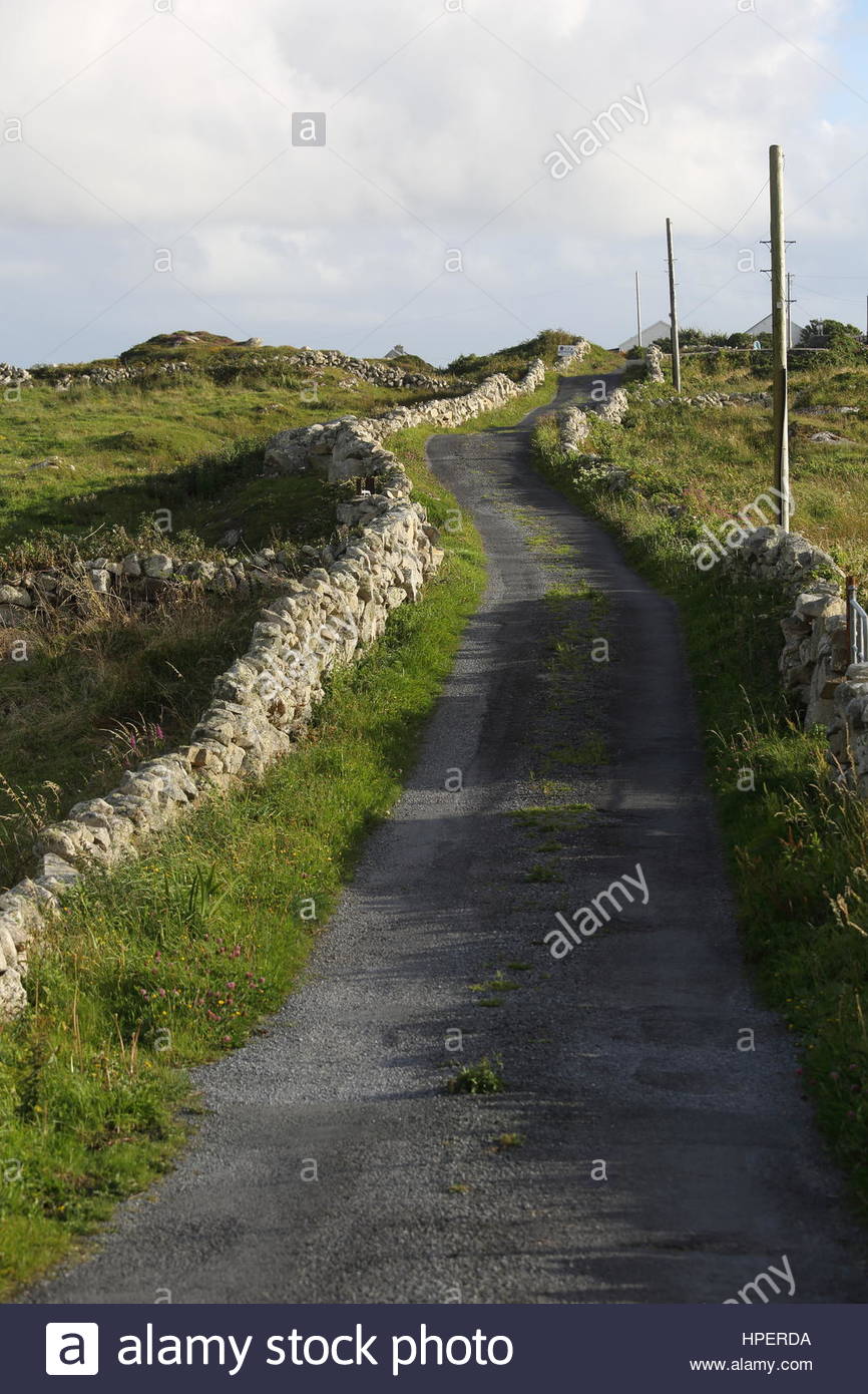 Paesaggio irlandese di pietra di luce soffusa nell' Irlanda occidentale Foto Stock