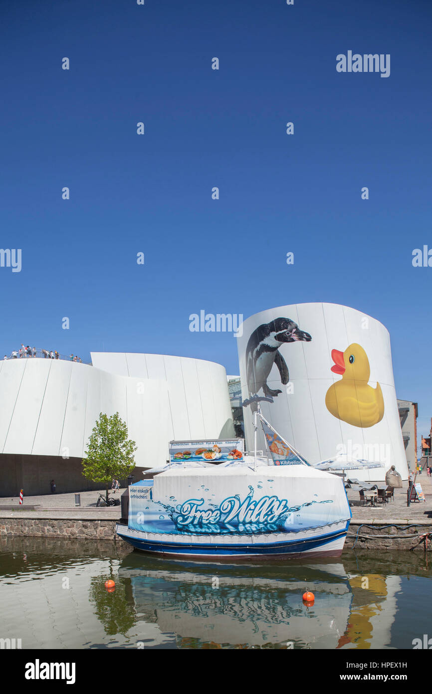 Stralsund, Ozeaneum Museum, pesca taglierina Foto Stock