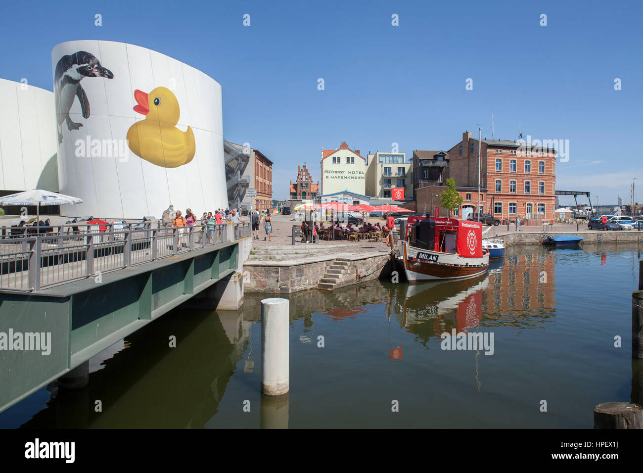 Stralsund, Ozeaneum Museum, vecchie case di porto Foto Stock