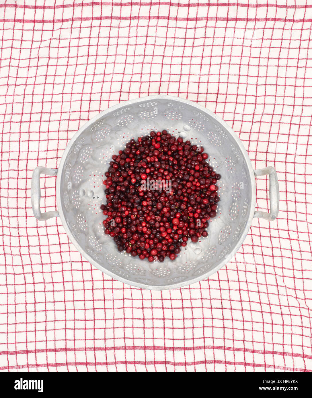 Cranberries in vaglio metallico su rosso controllato canovaccio Foto Stock