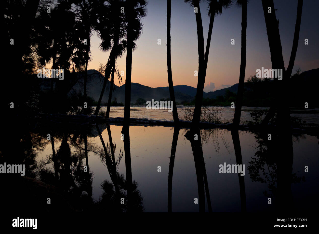 Fiume in Namibia, Africa, oasi e fonte di vita per molti animali, alba / Tramonto, Foto Stock