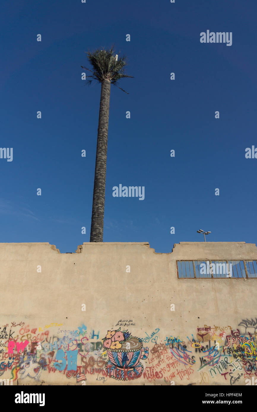 Arte dei graffiti su un vecchio edificio rovinato con un telefono cellulare il montante in background nella forma di un albero di palma in Kuwait City in Kuwait. Foto Stock