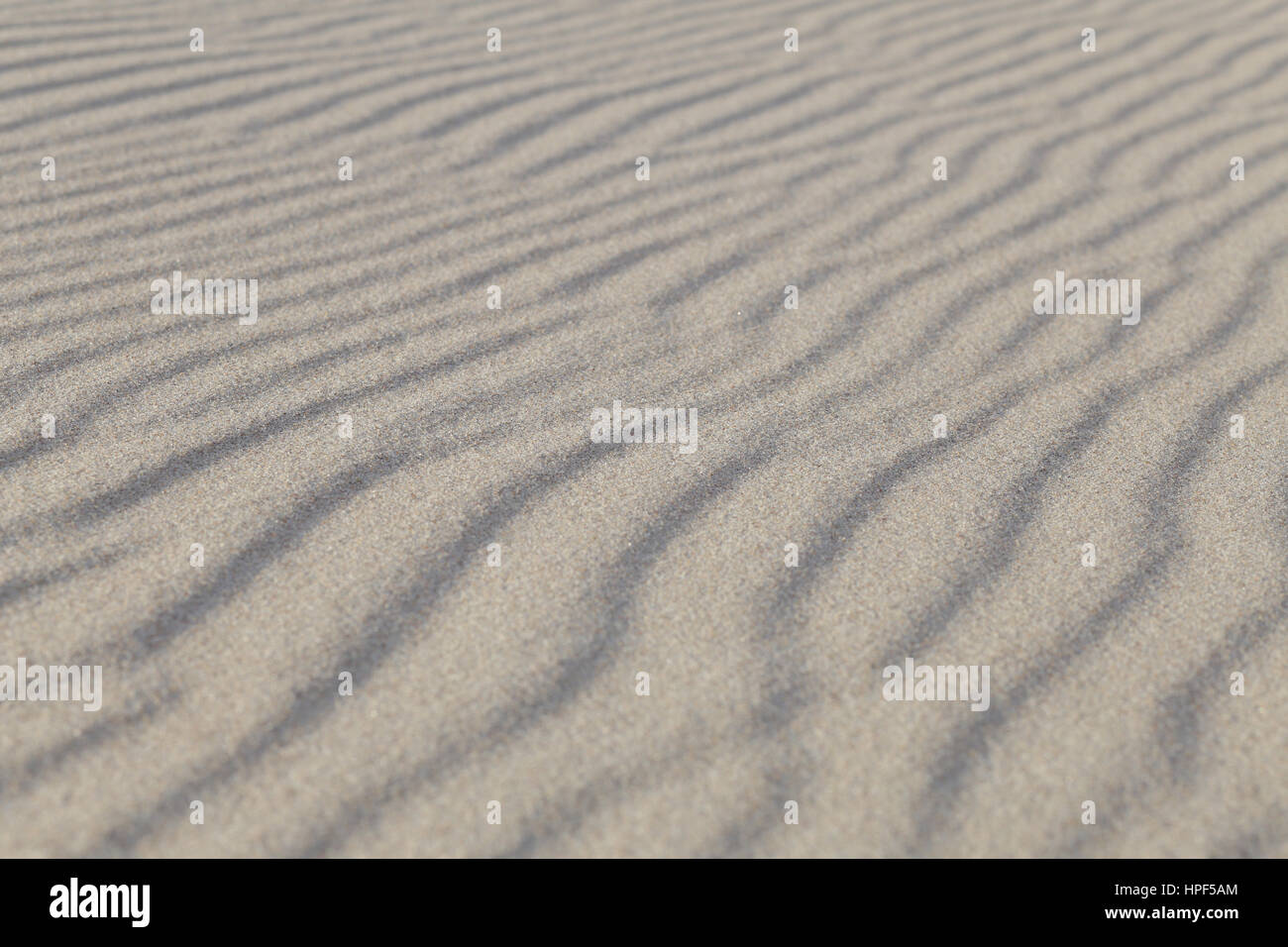 Sabbia di mare piccole dune al tramonto di luce con effetto prospettico Foto Stock