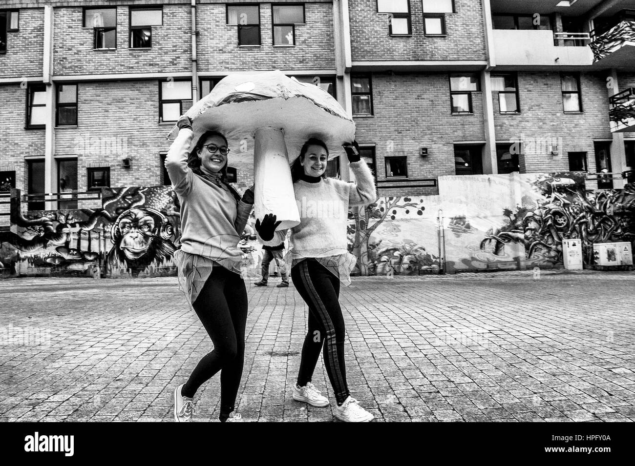 Bruxelles, Belgio. Il 22 febbraio, 2017. Tradizionale Carnevale organizzata dagli studenti della Université catholique de Louvain (UCL) a Louvain La Neuve, Belgio su 22.02.2017 da Wiktor Dabkowski | Utilizzo di credito in tutto il mondo: dpa/Alamy Live News Foto Stock