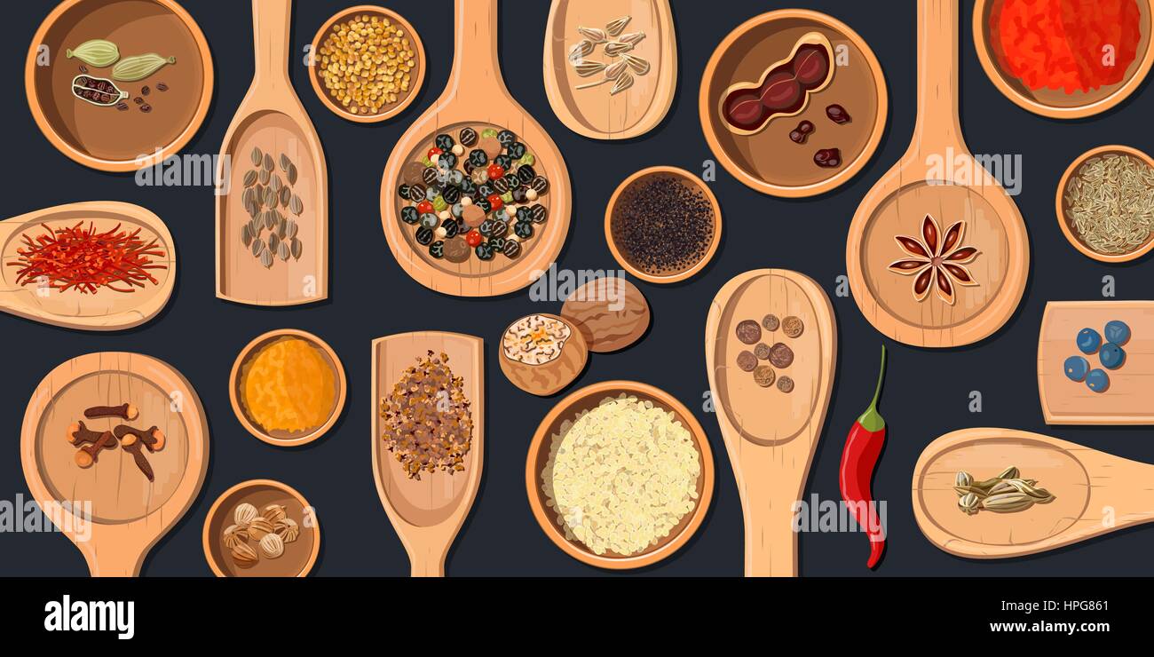 Mestoli e ciotole con realistica culinaria popolare di spezie. Logo del negozio. Segno del negozio. Peperoncino, paprica, noce moscata, coriandolo, anice etc. Per la salute Illustrazione Vettoriale