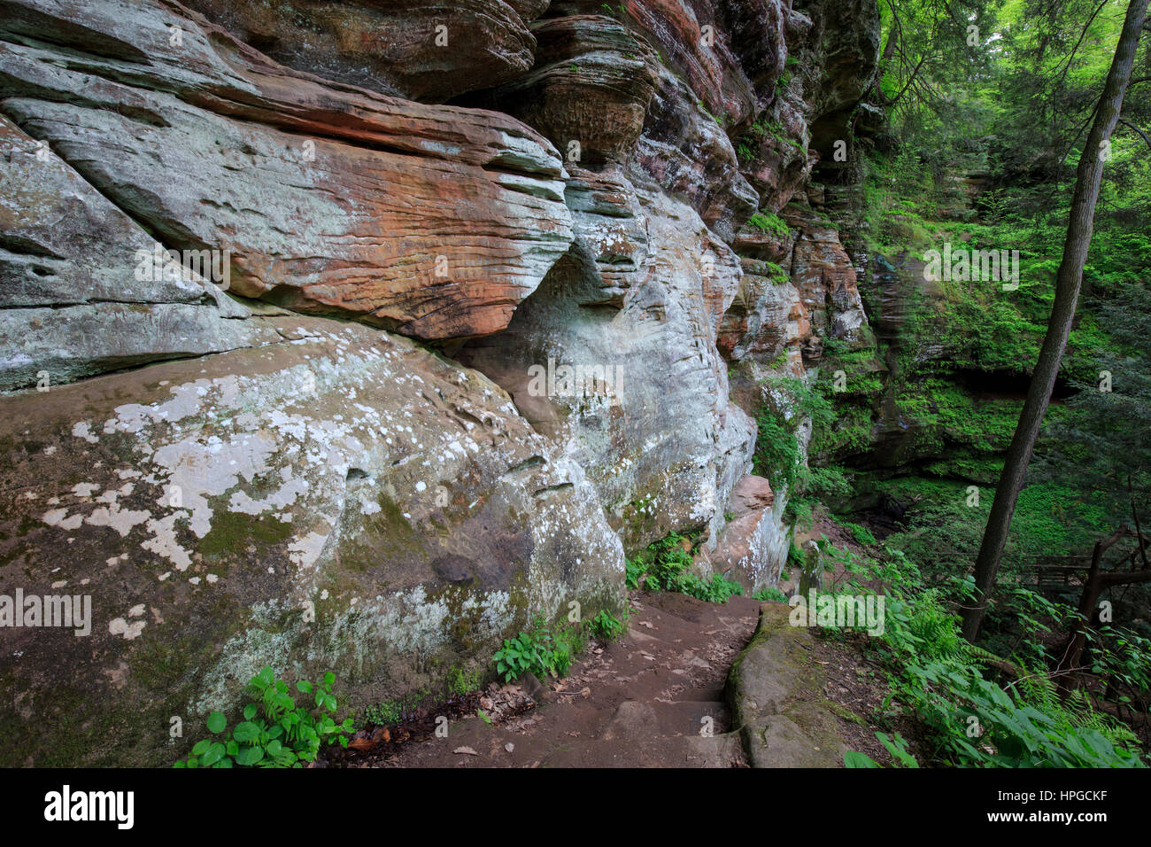 Pareti di pietra arenaria lungo il sentiero al Rock House, Hocking Hills State Park, Ohio. Foto Stock