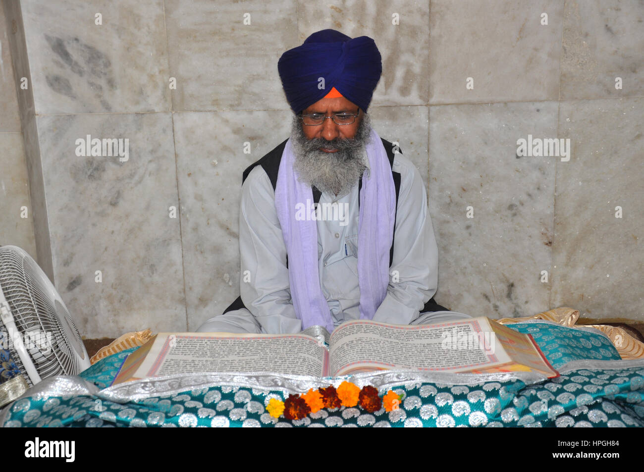 Sikh grandi che legge le Scritture. Le Scritture del Sikhismo sono conosciute come il Guru Granth Sahib, il Guru vivente del Sikhism. (Foto © Saji Maramon) Foto Stock