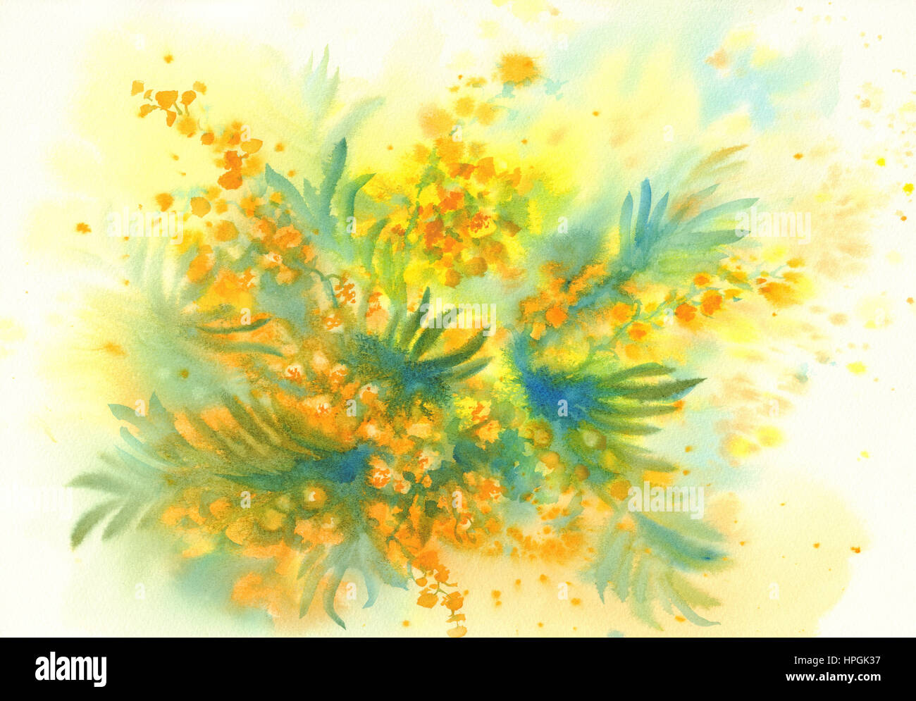 Mimosa flower watercolor yellow background immagini e fotografie stock ad  alta risoluzione - Alamy