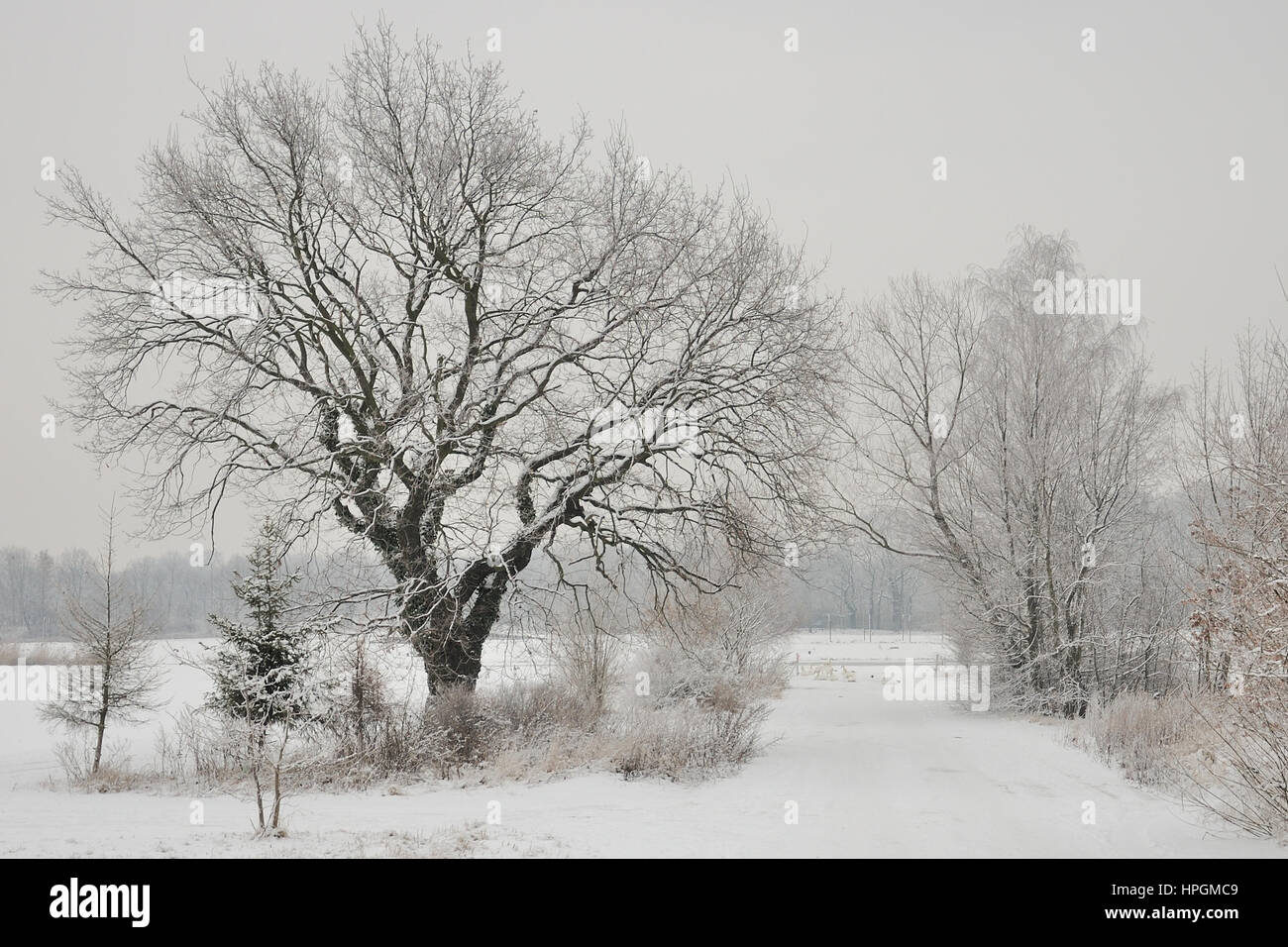 Inverno in Polad © Pawel M. Mikucki Foto Stock