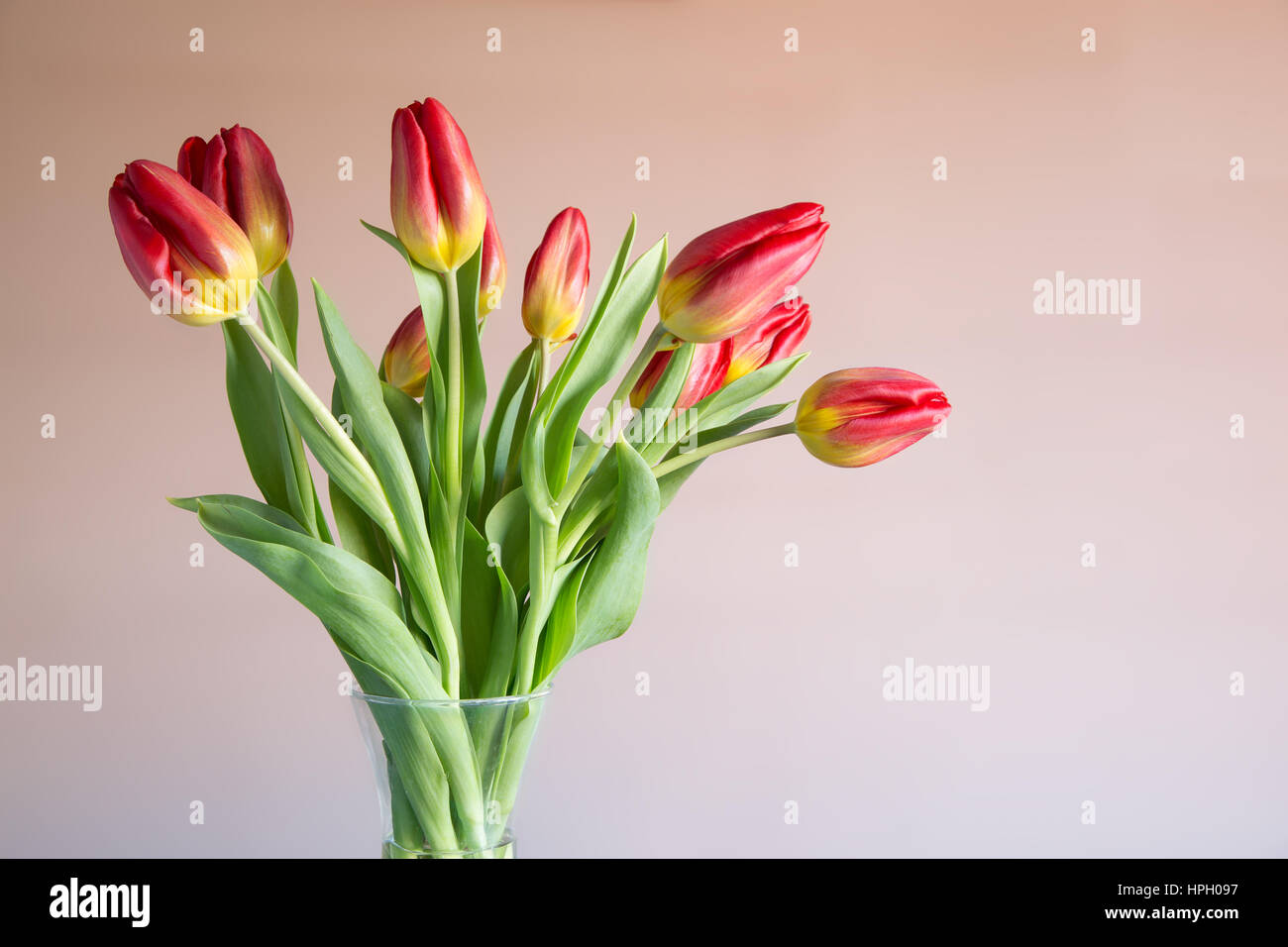 Bouquet di rosso e tulipani gialli in un vaso di vetro Foto Stock