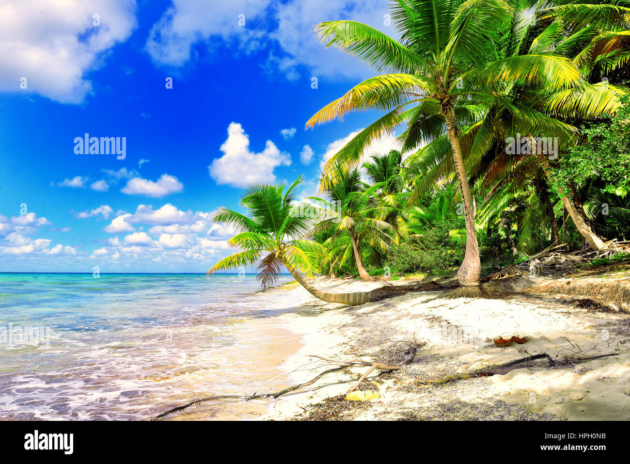 Scenario tropicale. Bella Palm Beach con le acque turchesi e la sabbia bianca. Vacanze tropicali. Rilassanti vacanze tropicali. Idilliaco panorama tropicale. S Foto Stock