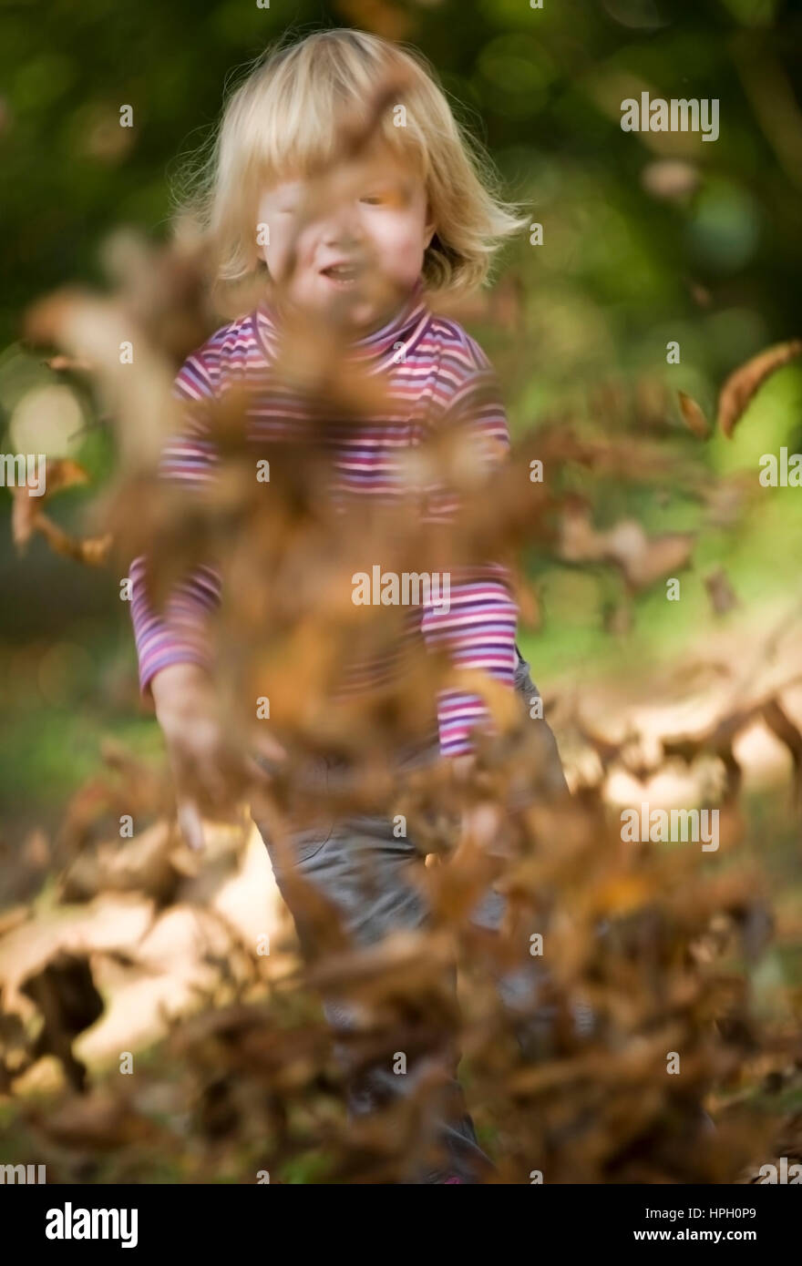 Modello rilasciato , Maedchen wirft Herbstlaub - ragazza through fogliame di autunno Foto Stock