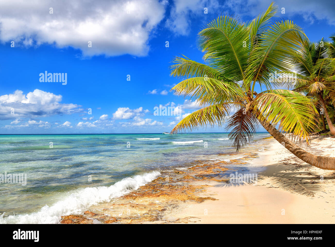 Tropical spiaggia di sabbia bianca con alberi di palma. Saona Island, Repubblica Dominicana Foto Stock