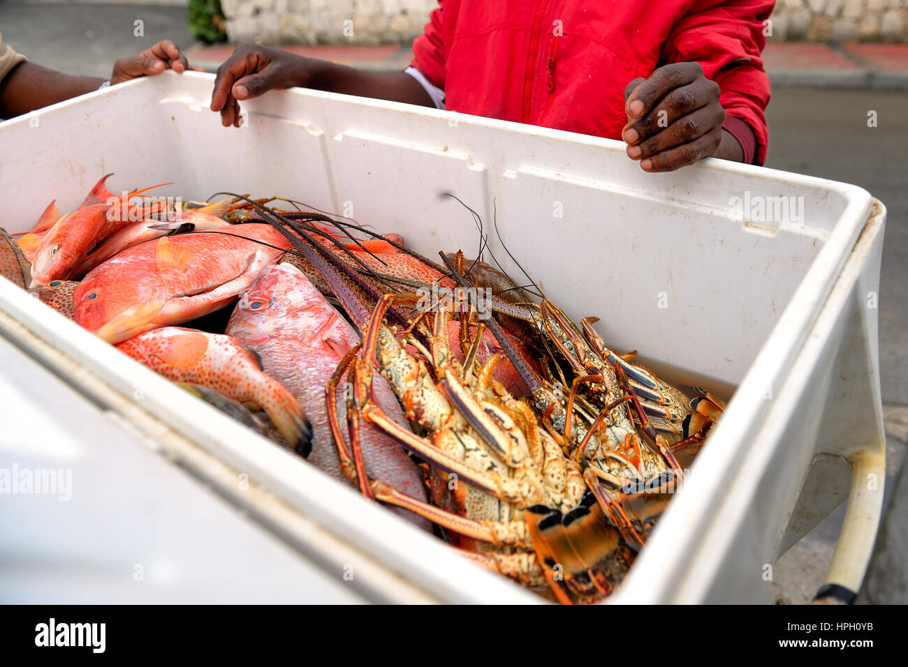 Appena catturati pesci tropicali e aragoste in una benna offerti da un venditore. Repubblica Dominicana Foto Stock